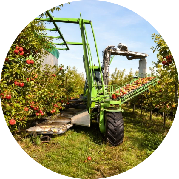 Fruit Harvester
