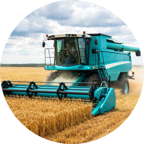 Combine Harvest