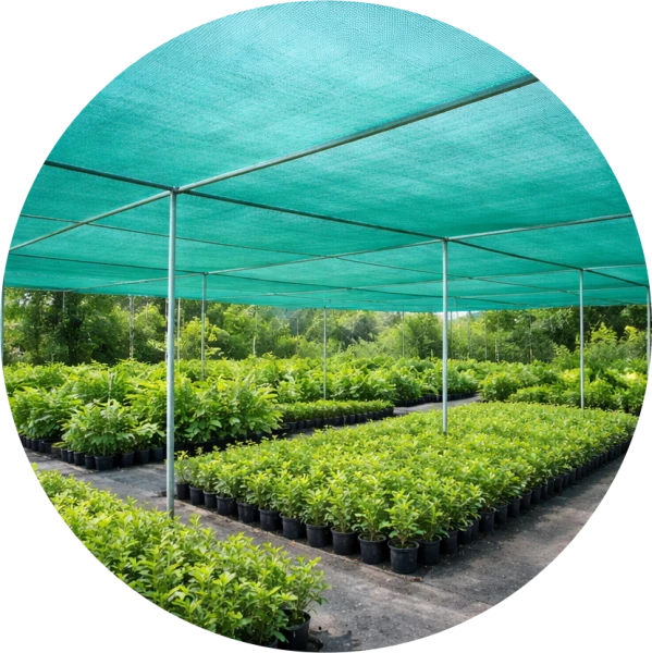 Nursery Shade Net