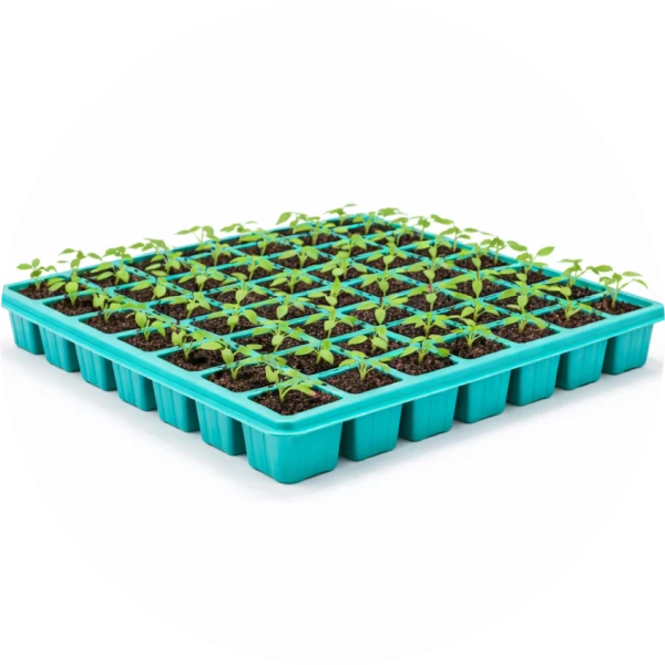 Seed Tray